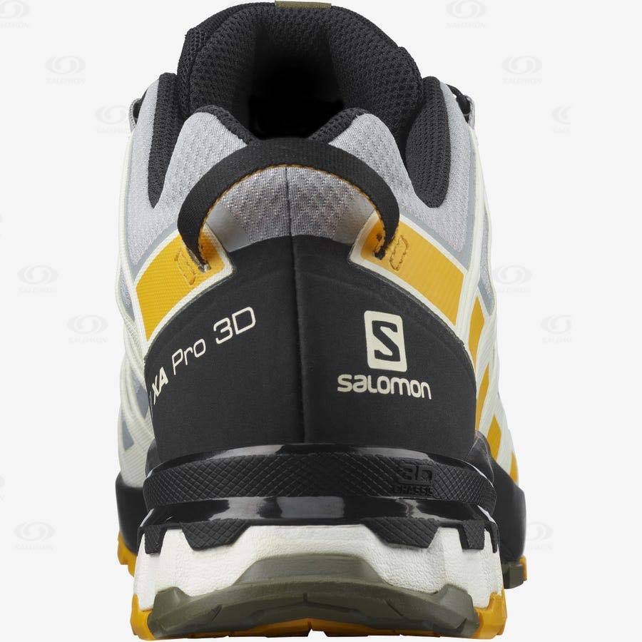 Silver Salomon XA PRO 3D v8 GORE-TEX Men's Hiking Shoes | US-M1783