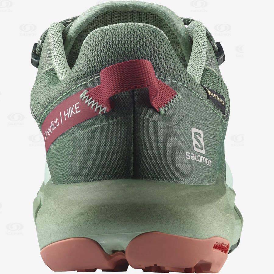 Turquoise Salomon PREDICT HIKE GORE-TEX Women's Hiking Shoes | US-L2425