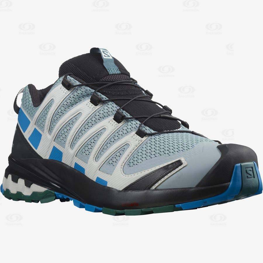 Turquoise Salomon XA PRO 3D v8 Men's Hiking Shoes | US-O1462