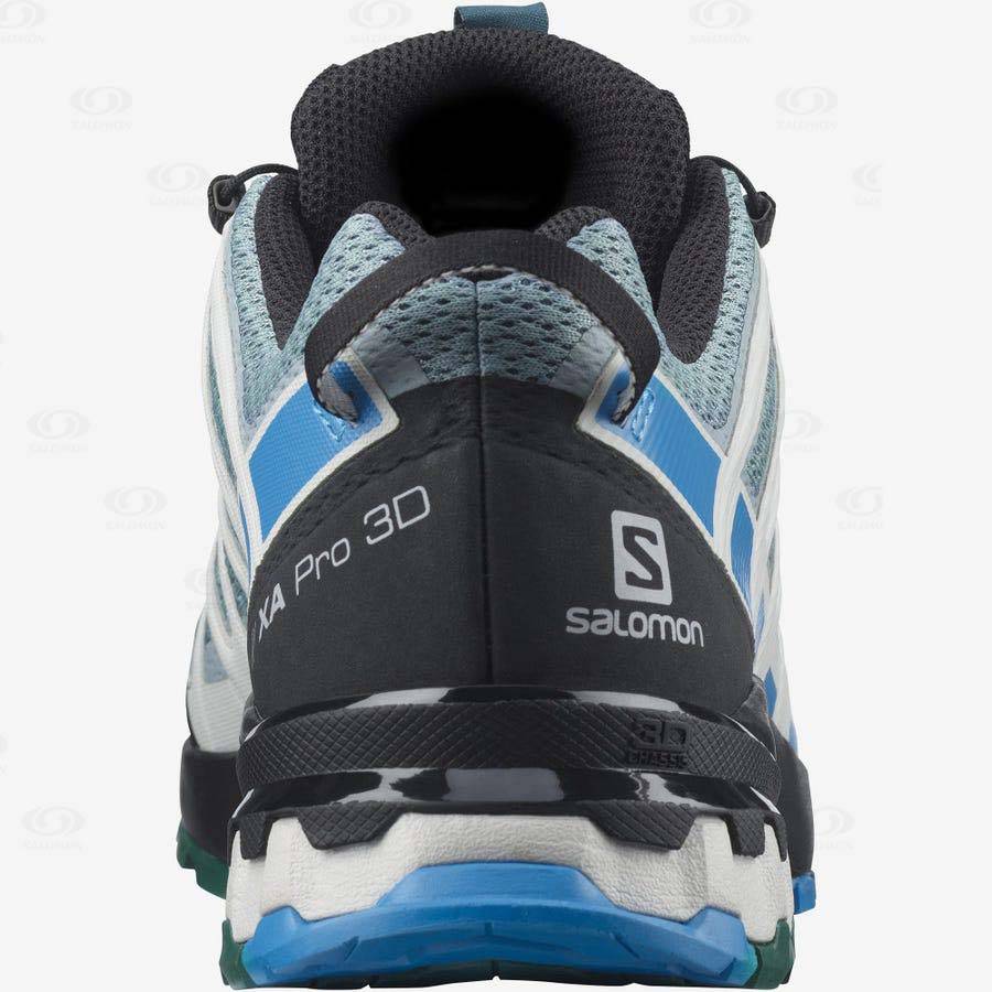 Turquoise Salomon XA PRO 3D v8 Men's Hiking Shoes | US-O1462