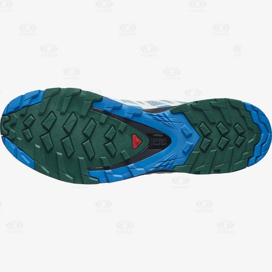 Turquoise Salomon XA PRO 3D v8 Men's Hiking Shoes | US-O1462