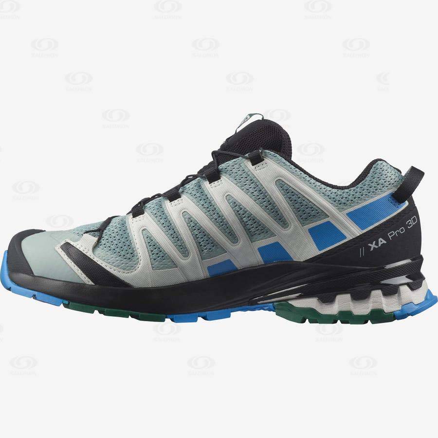 Turquoise Salomon XA PRO 3D v8 Men's Hiking Shoes | US-O1462