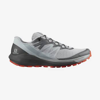 Beige / Grey Salomon SENSE RIDE 4 Men's Trail Running Shoes | US-L1900