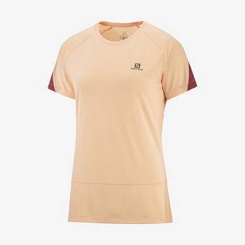 Beige Salomon CROSS RUN Women's T Shirts | US-N2170