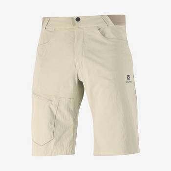 Beige Salomon WAYFARER Men's Shorts | US-O2274