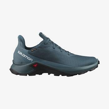 Blue Salomon ALPHACROSS 3 GORE-TEX Men's Waterproof Shoes | US-W2710