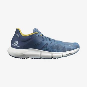 Blue Salomon PREDICT 2 Men's Running Shoes | US-O1490