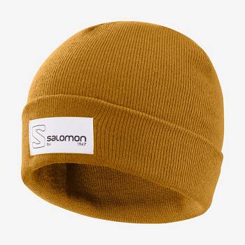 Brown Salomon OUTLIFE LOGO Men's Hats | US-S1268