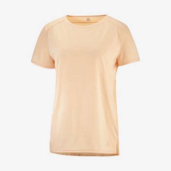 Brown Salomon OUTLINE SUMMER Women's T Shirts | US-W3320