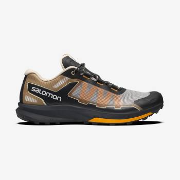 Brown / Silver Salomon ULTRA RAID Men's Sneakers | US-M1398