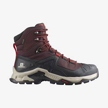 Grey / Red Salomon QUEST ELEMENT GORE-TEX Men's Hiking Shoes | US-O2484