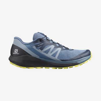 Grey Salomon SENSE RIDE 4 Men's Trail Running Shoes | US-O2370