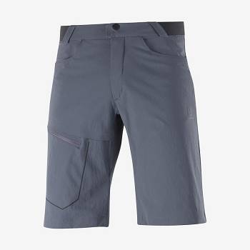 Grey Salomon WAYFARER Men's Shorts | US-N1988