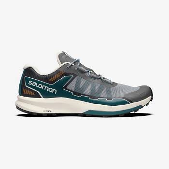 Grey / Silver Salomon ULTRA RAID Men's Sneakers | US-A2116