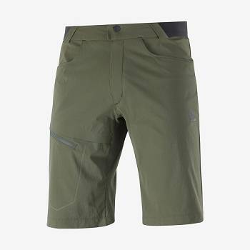 Olive Salomon WAYFARER Men's Shorts | US-M2196