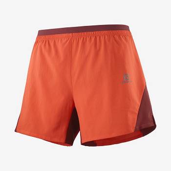 Orange Salomon CROSS 5'' Men's Shorts | US-W1350