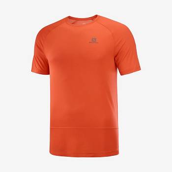 Orange Salomon CROSS RUN Men's T Shirts | US-W3270