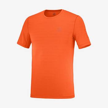 Orange Salomon OUTLINE Men's T Shirts | US-S1807