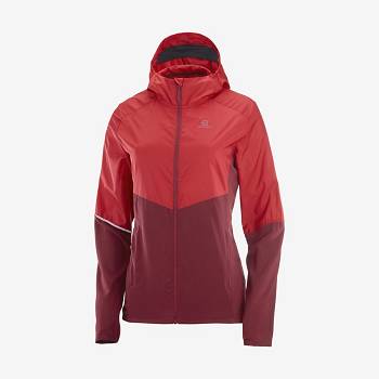 Red Salomon AGILE WIND Women's Windbreakers Jacket | US-W2450