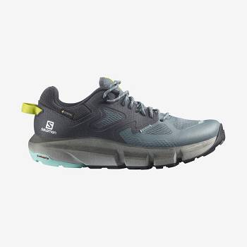 Silver Salomon PREDICT HIKE GORE-TEX Women's Waterproof Shoes | US-M1321