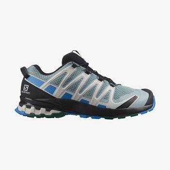 Turquoise Salomon XA PRO 3D v8 Men's Hiking Shoes | US-O1462